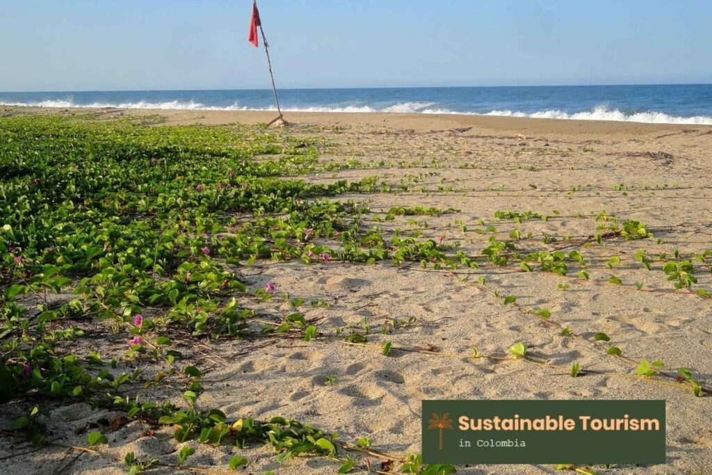 tayrona park closed 2022 sustainable tourism colombia