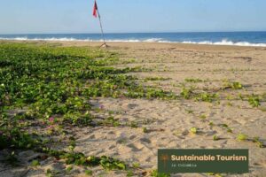 tayrona park closed 2022 sustainable tourism colombia