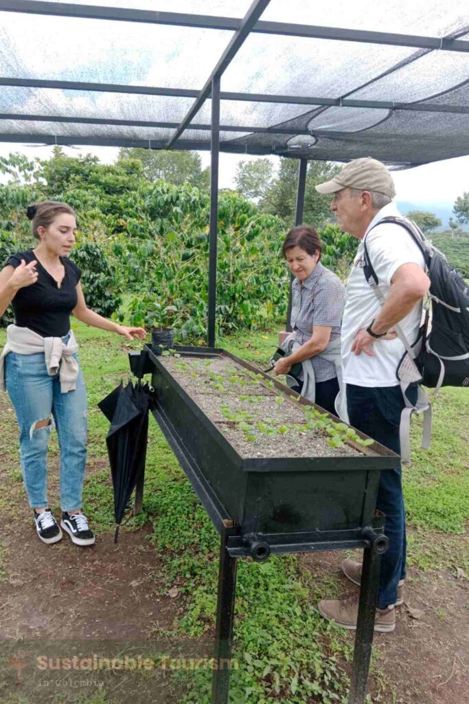 coffee process in colombia