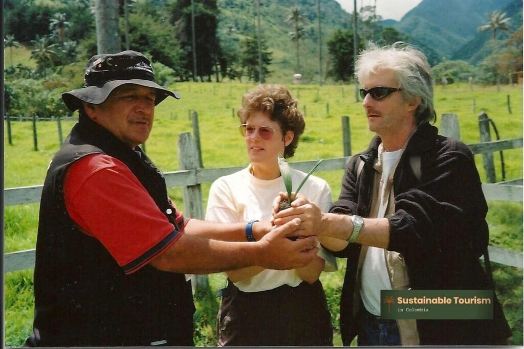 cocora valley colombia