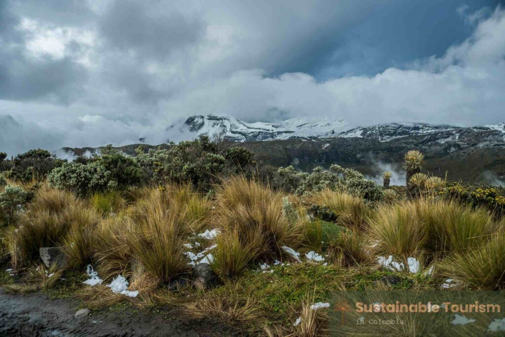 Los Nevados National Park Colombia