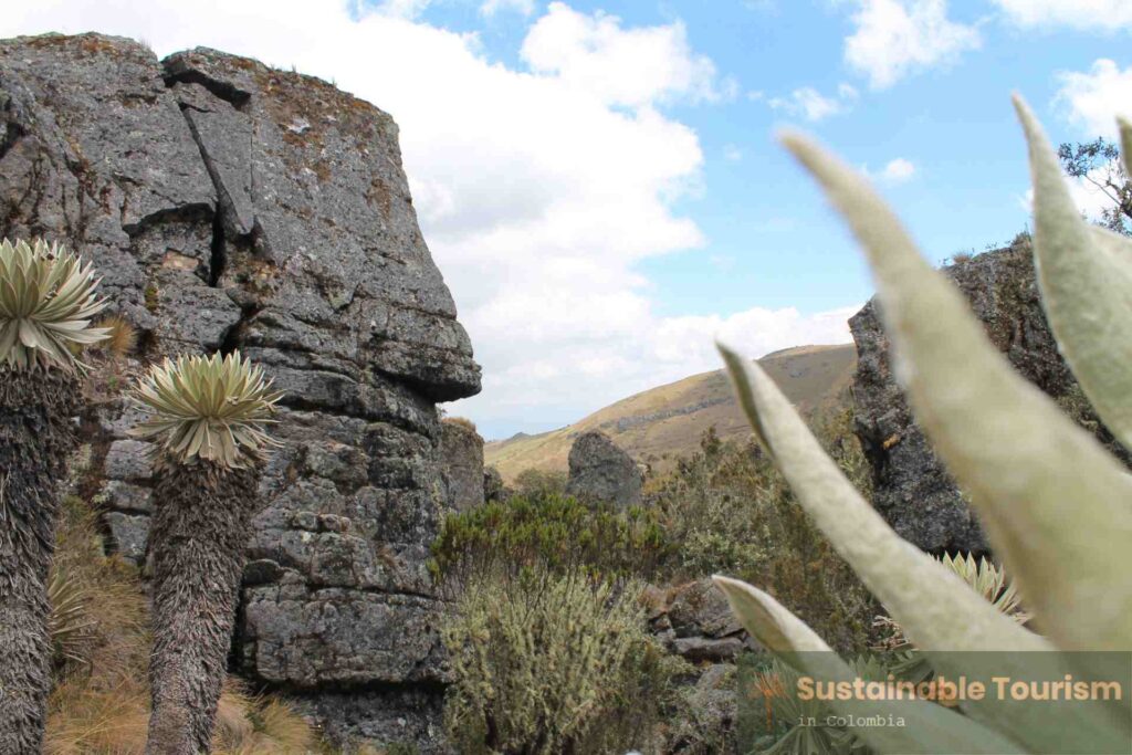 Hidden gems Colombia - Paramo Oceta